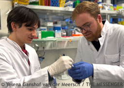 Der Immunreaktion auf mRNA auf der Spur: Studien-Erstautor Niklas Kotzian (l.) und Letztautor Dr. Norman Drzeniek