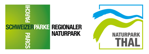 290 pixel image width