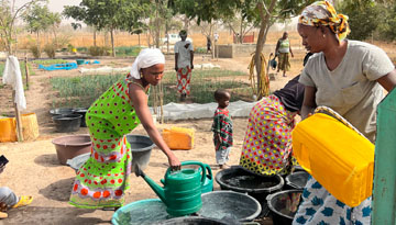 Frau im Senegal füllen Gießkannen auf
