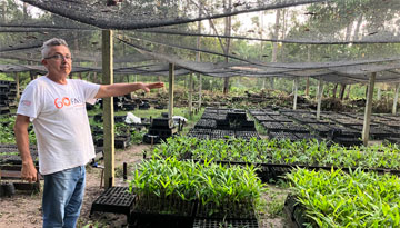 Koordinator von FASE mit Blick auf die Setzlinge