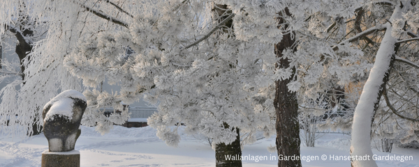 600 pixels wide image