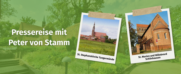 600 pixels wide image