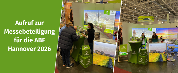 600 pixels wide image