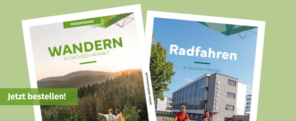 600 pixels wide image