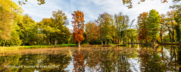 600 pixels wide image