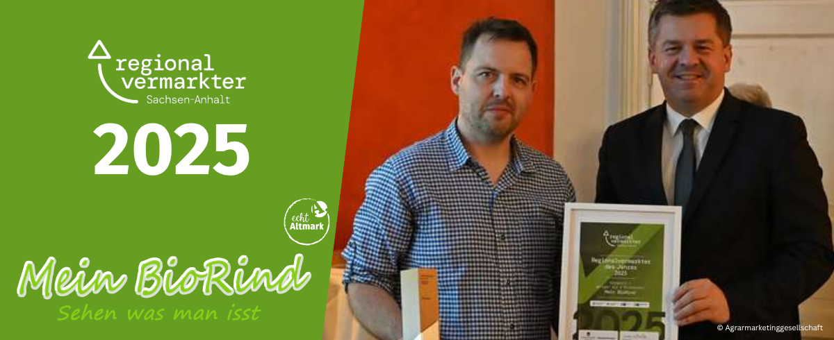 600 pixels wide image