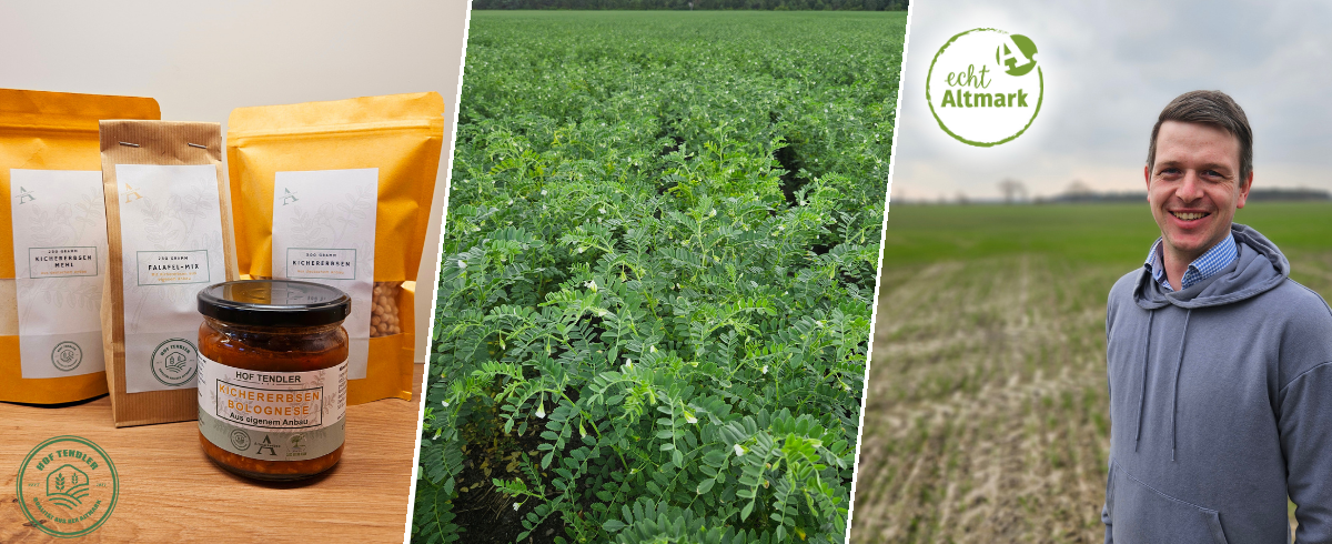 600 pixels wide image