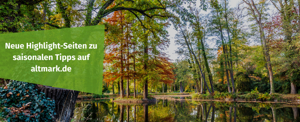 600 pixels wide image