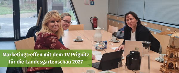 600 pixels wide image