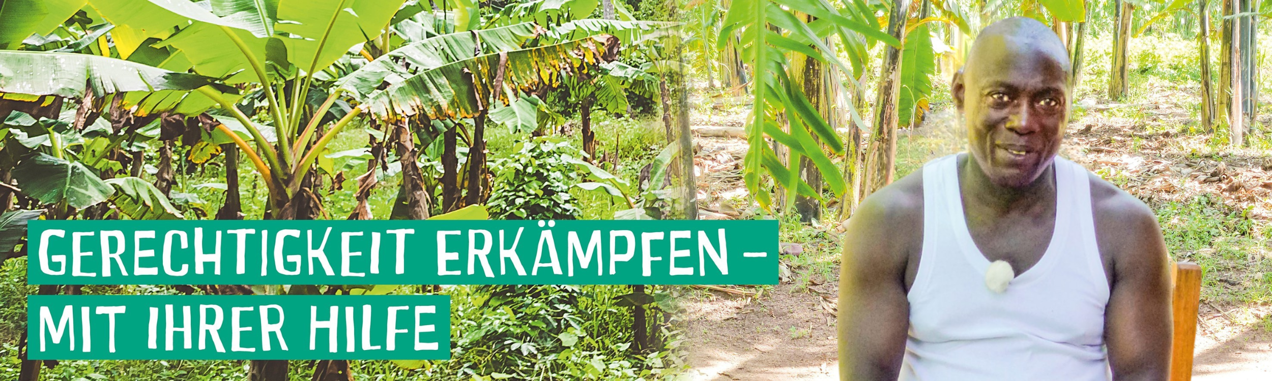 600 pixels wide image