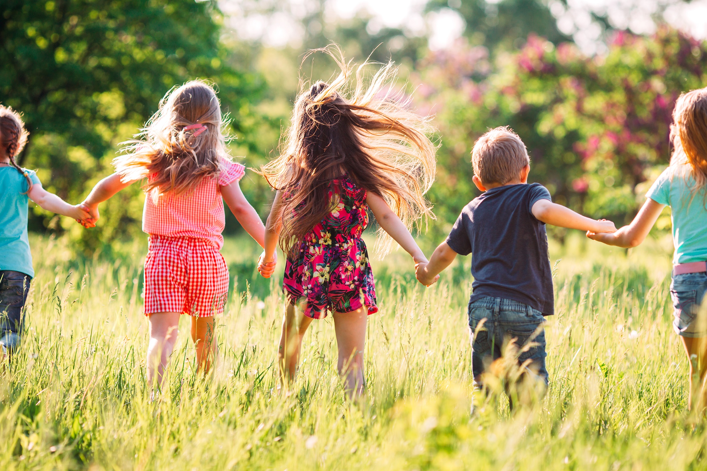 600 pixels wide image