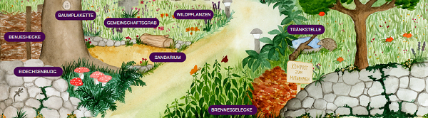 600 pixels wide image