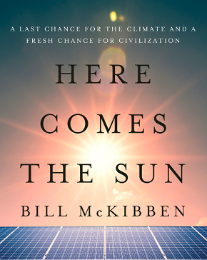 290 pixel image width