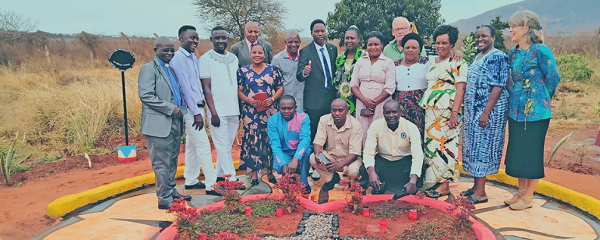 600 pixels wide image