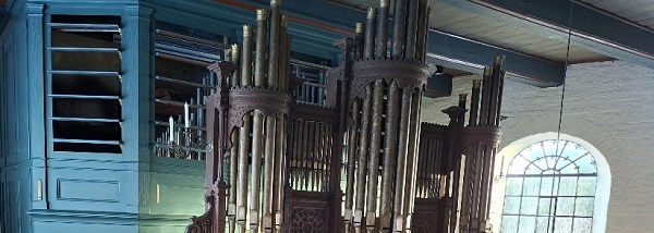 600 pixels wide image