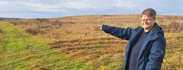 600 pixels wide image