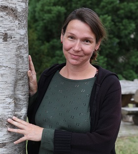 290 pixel image width