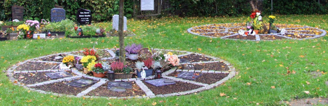 600 pixels wide image