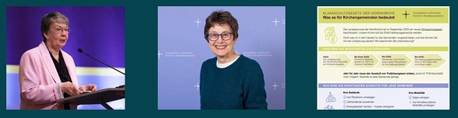 600 pixels wide image