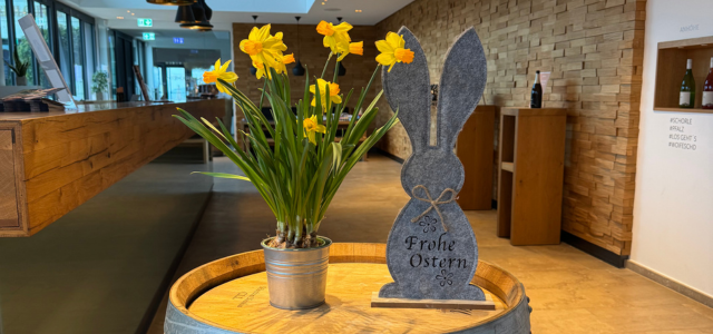 600 pixels wide image