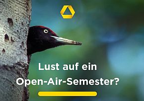 Teaser Umweltpraktikum