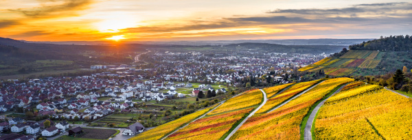 Farbenpracht in den Weinbergen