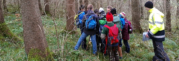 Junior Ranger unterwegs im Wald
