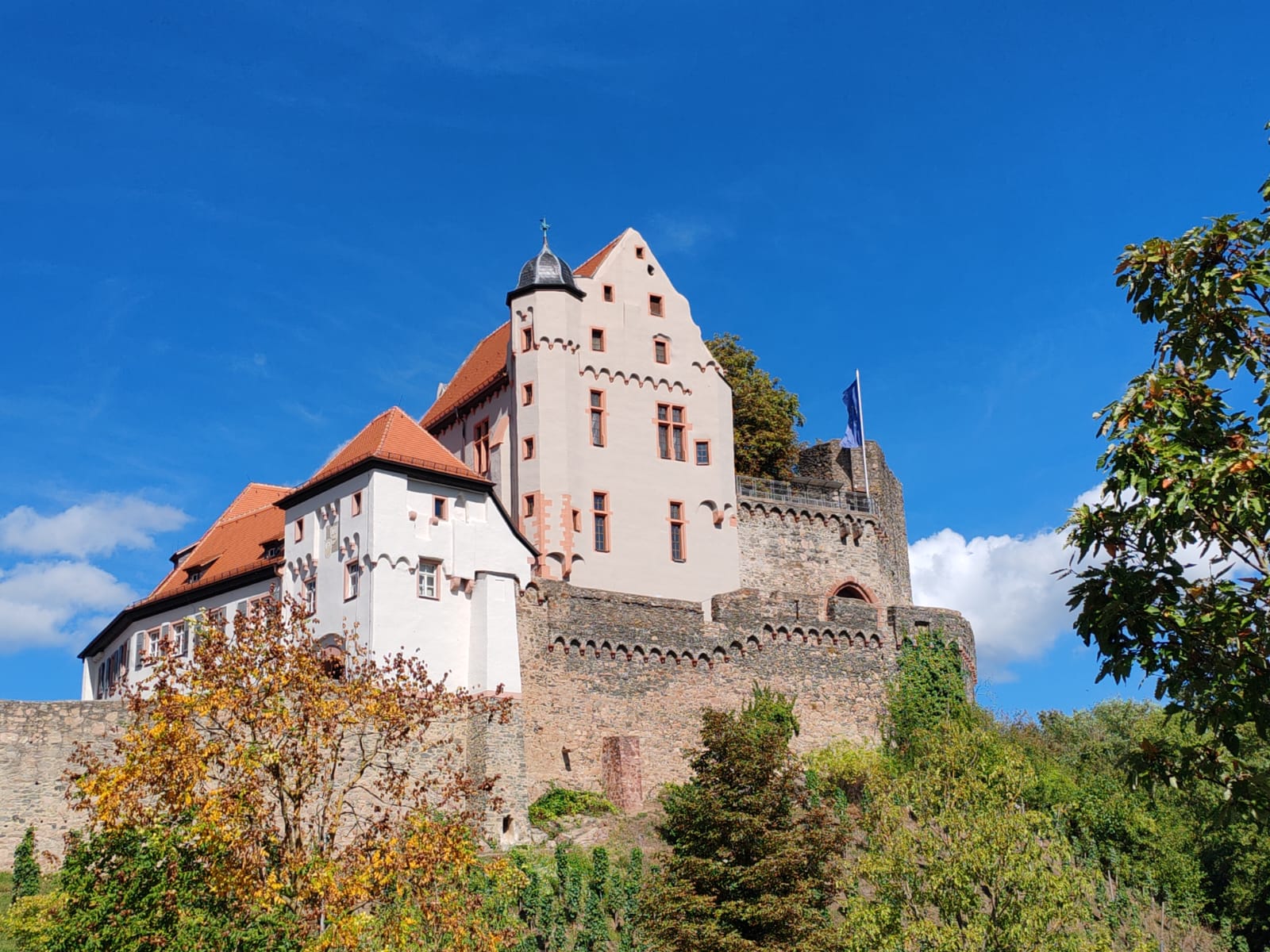 290 pixel image width