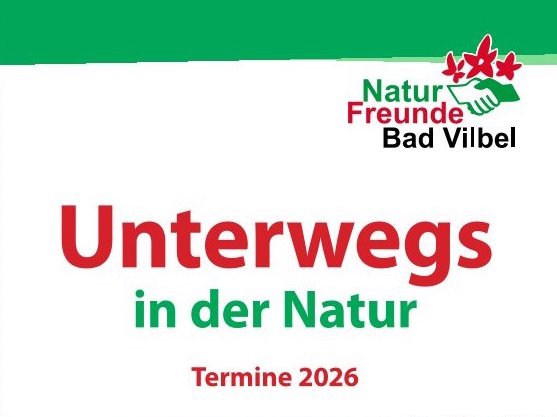 290 pixel image width