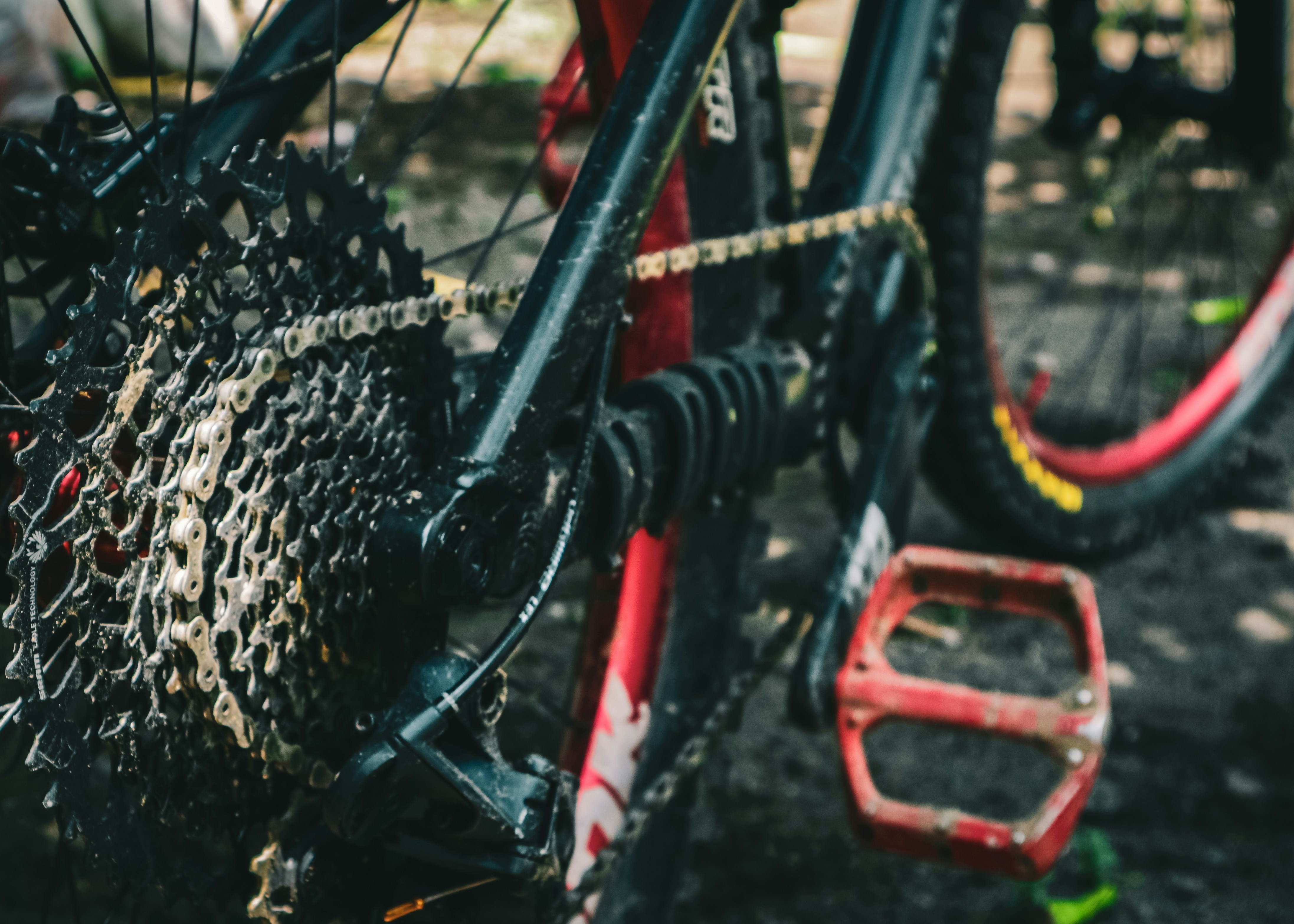 290 pixel image width