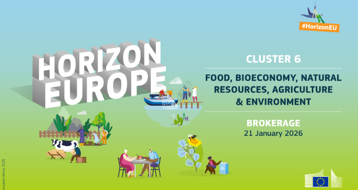 Banner Horizon Europe Cluster 6 Matchmaking