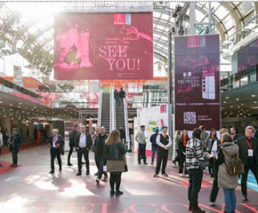 290 pixel image width