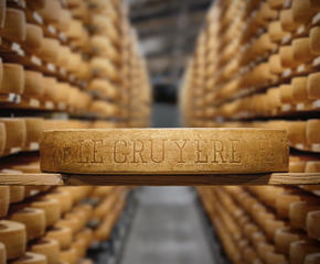 290 pixel image width