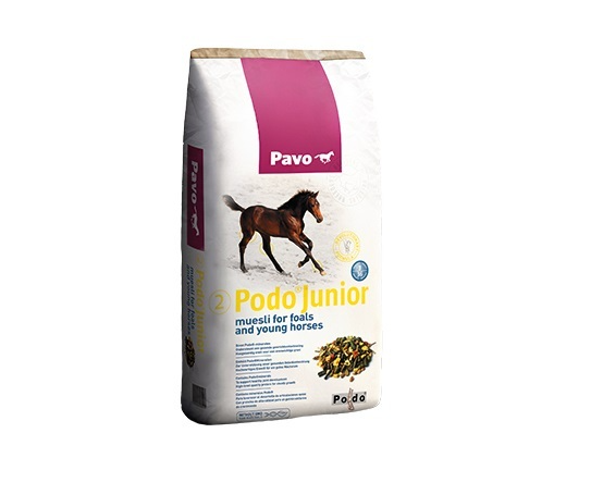 290 pixel image width