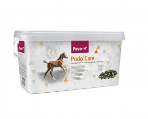 290 pixel image width