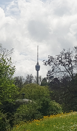 Fernsehturm vom Bopserpark gesehen © AKBW