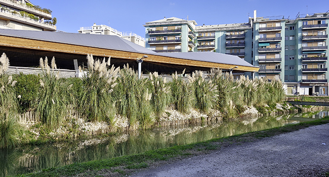 Grün in der Stadt © Thomas Schneider-Graf