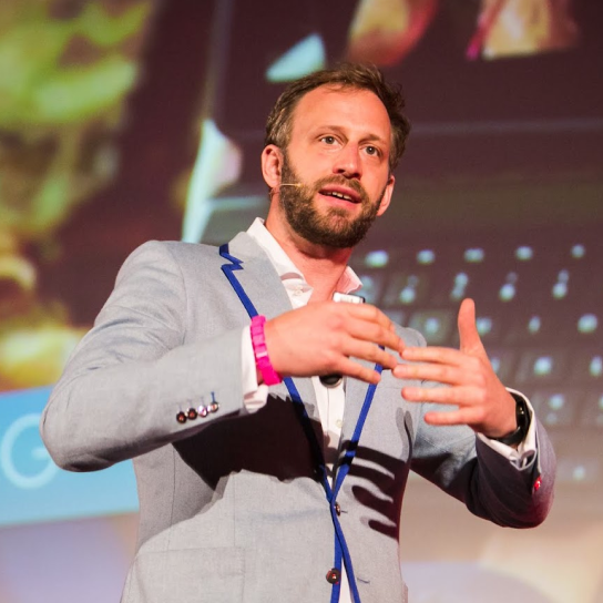 Nick Sohnemann, Unternehmensberater