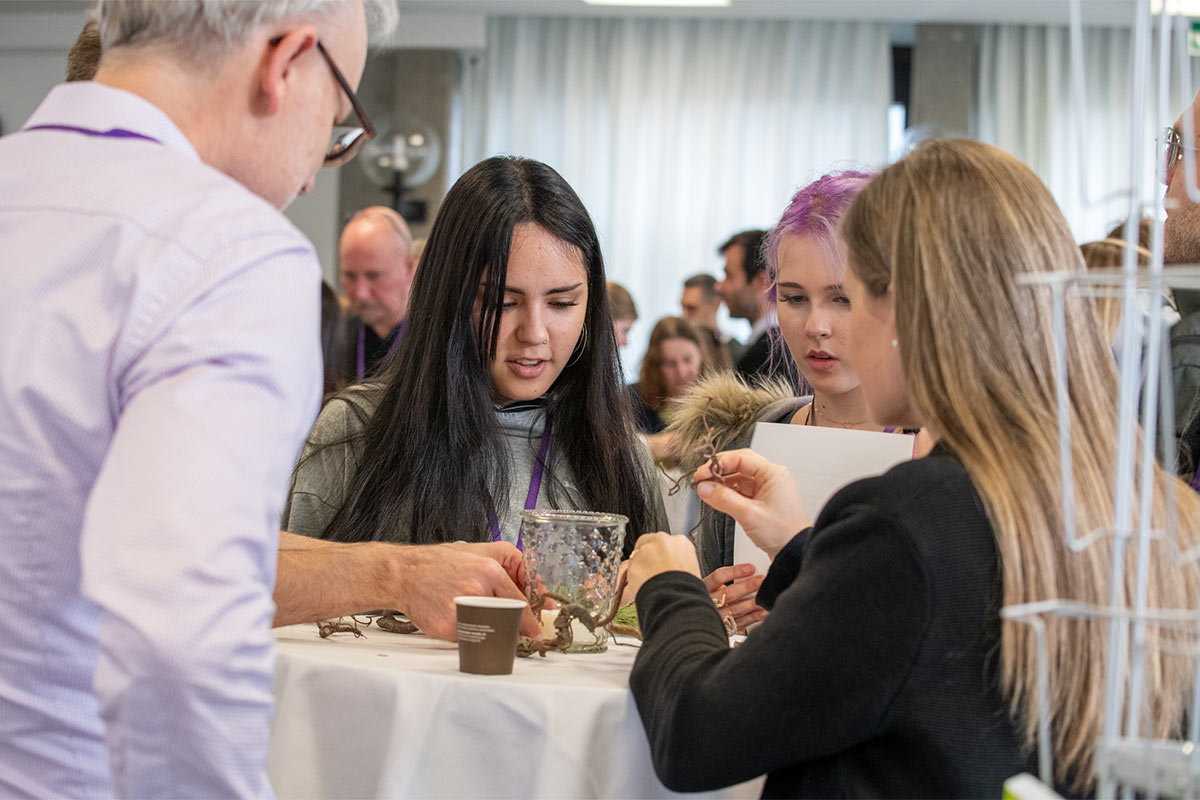 Headerbild DLH Sek II News Februar 2026