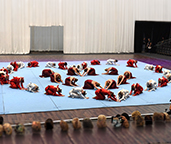 Herz aus Menschen bei der Welt-Gymnaestrada | Foto: DTB