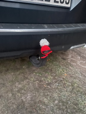 290 pixel image width