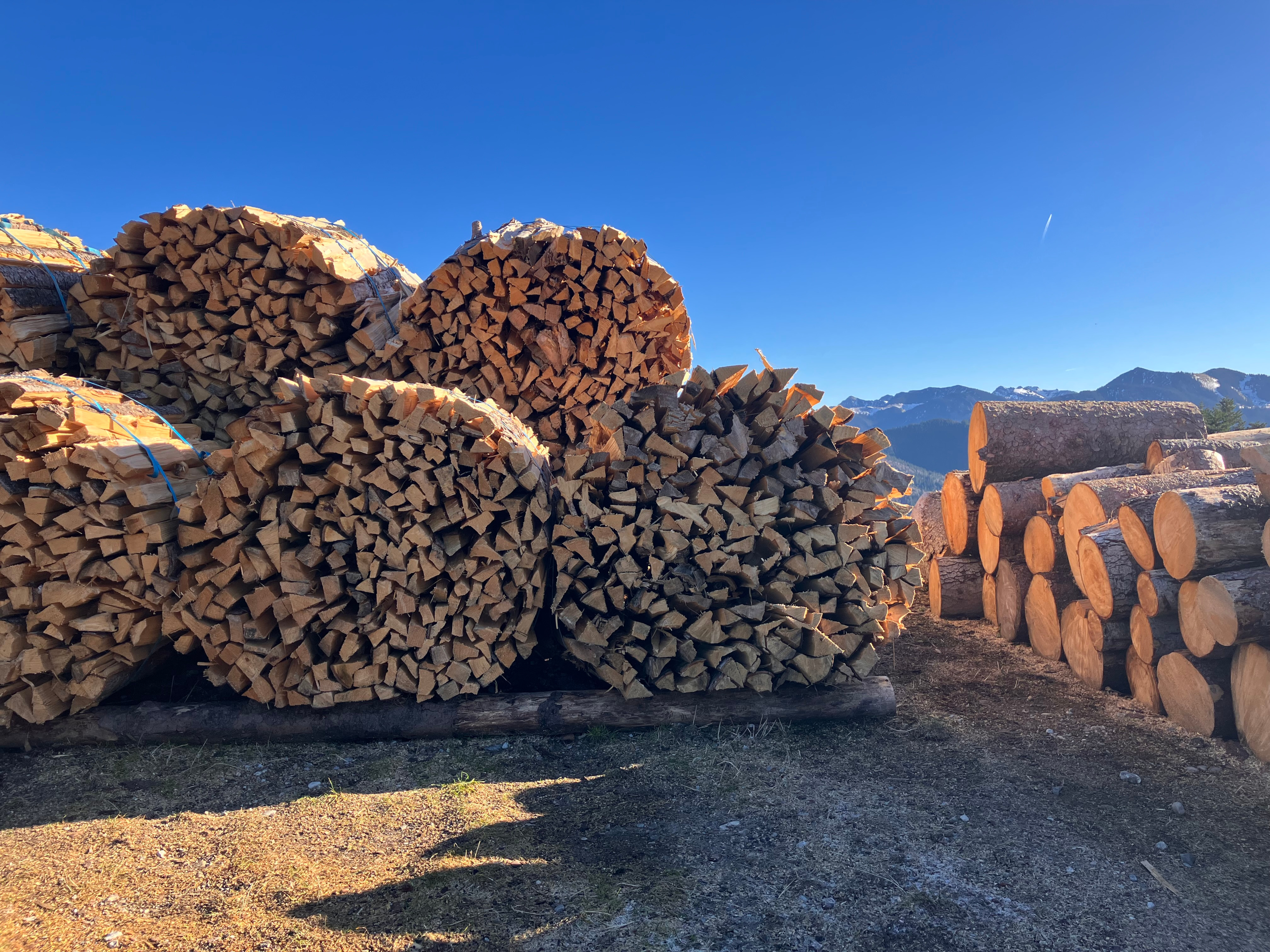 Scheitholzproduktion am Schliersee. Foto: Johannes Metsch (LWF)