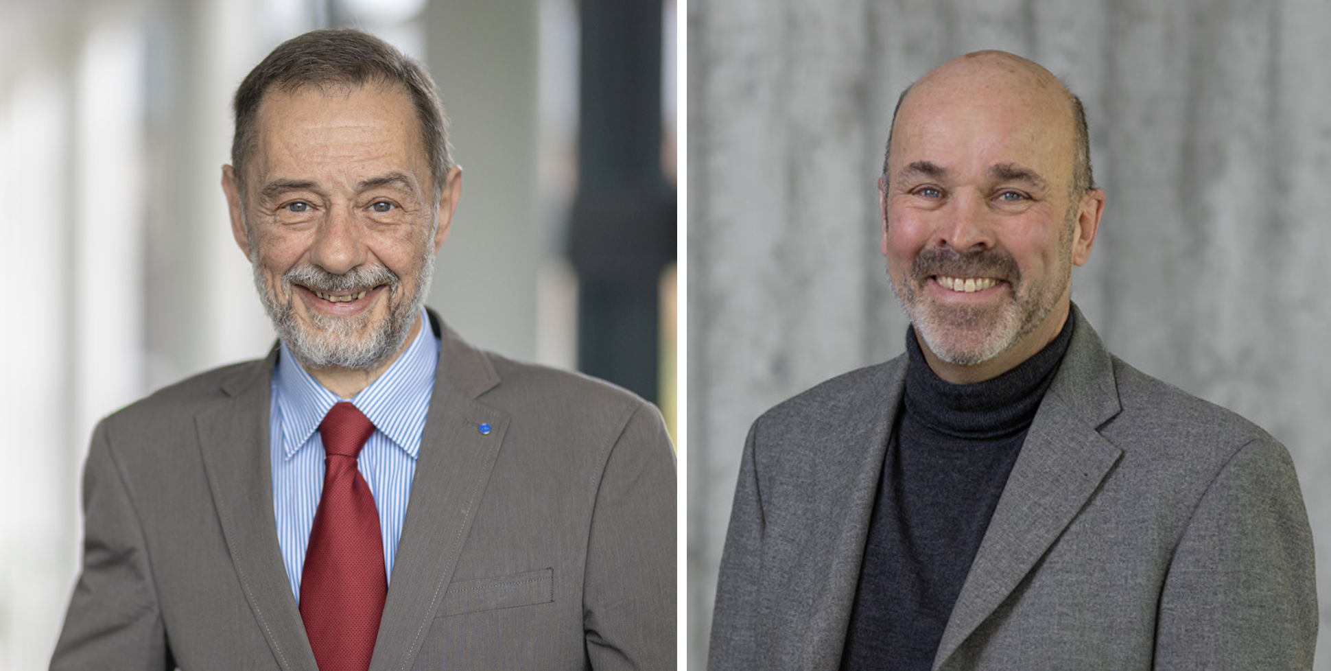 290 pixel image width