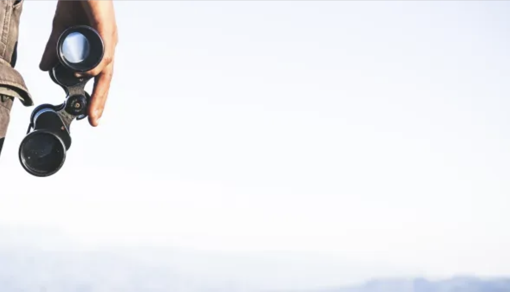 190 pixel image width