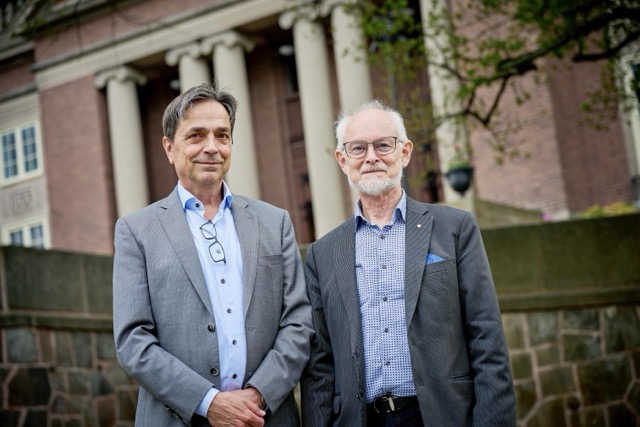 290 pixel image width