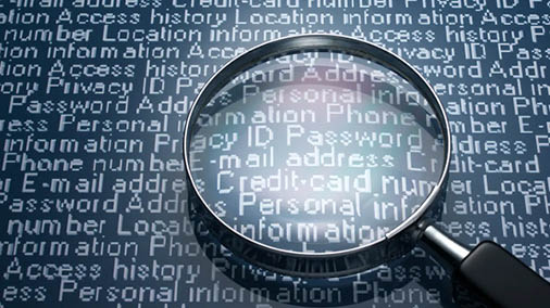 Bild einer Lupe, die über digital anmutenden Wörtern schwebt, wie ID, Passwort, E-mail address, Credit-card