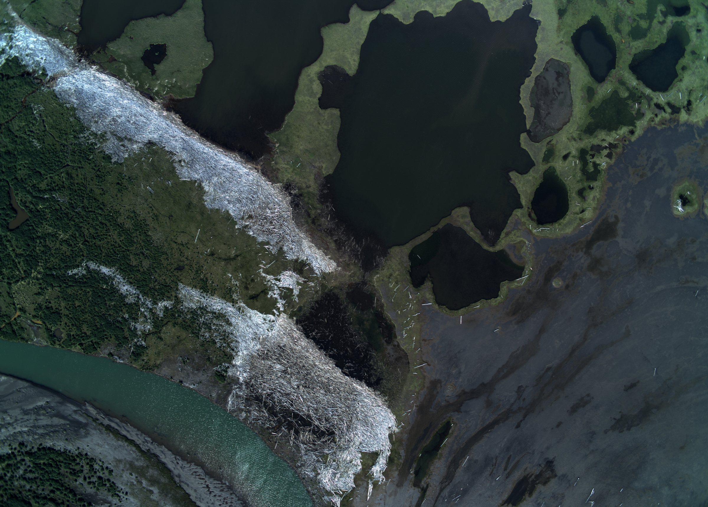 600 pixels wide image