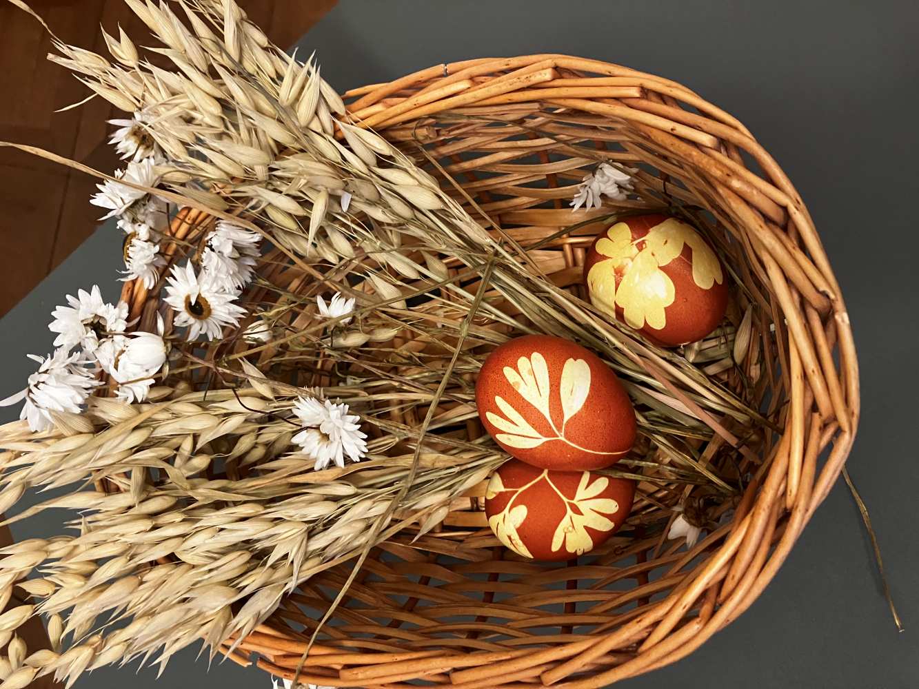 290 pixel image width