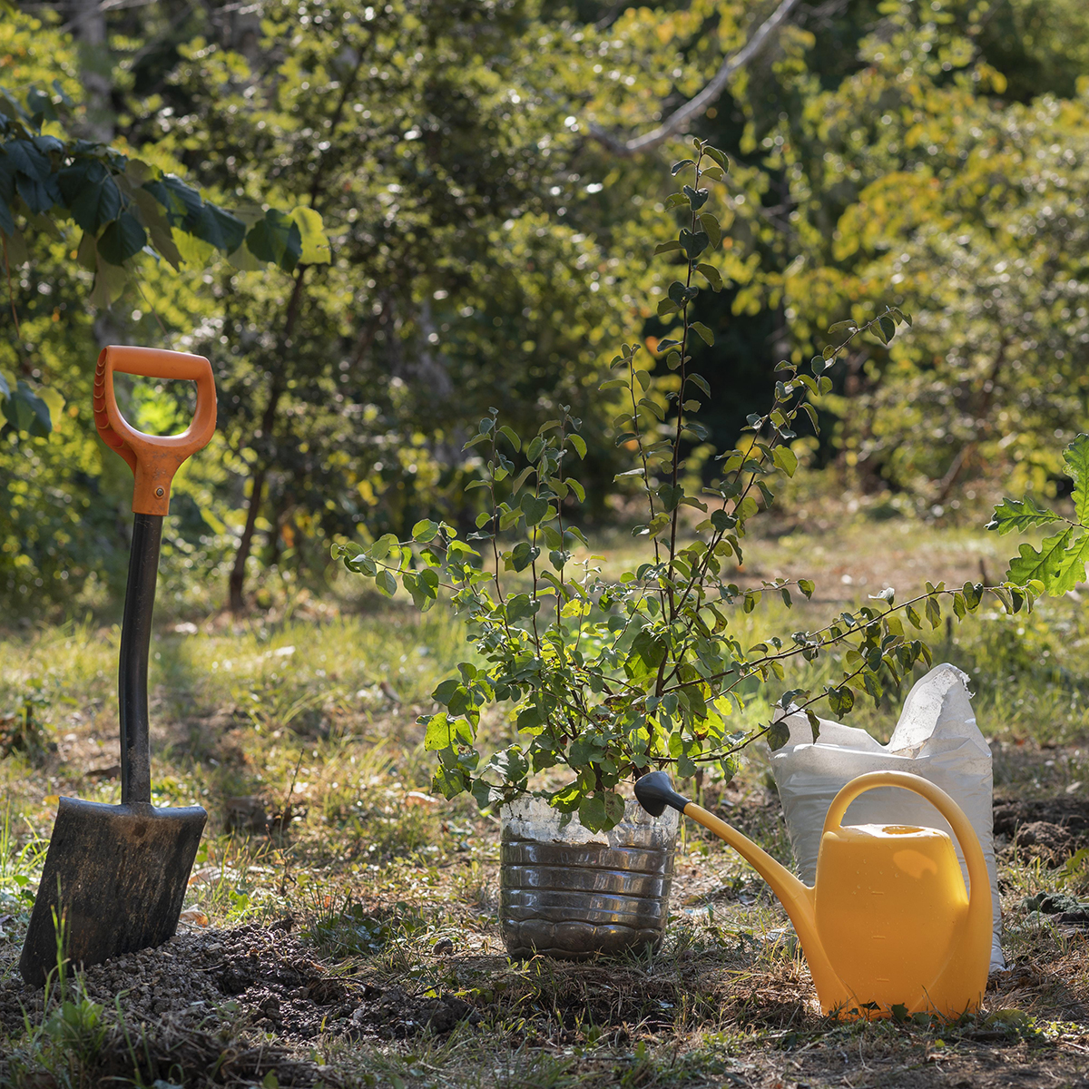 190 pixel image width