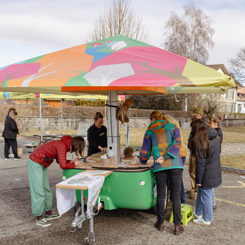 190 pixel image width